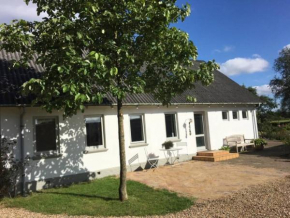 Skønt hus på landet tæt på Billund Give